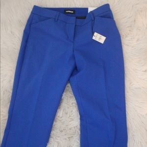 Express Electric blue pant